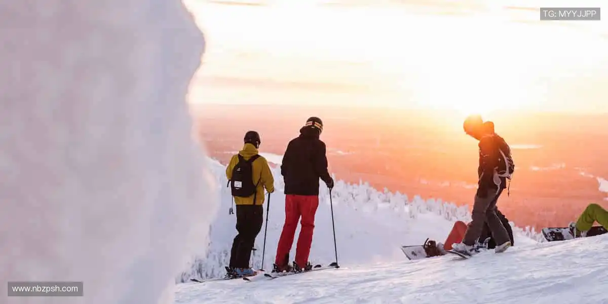 🌍全球赛事，与你同频心跳！🌟